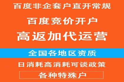 SEM代理案例：揭秘成功背后的秘密